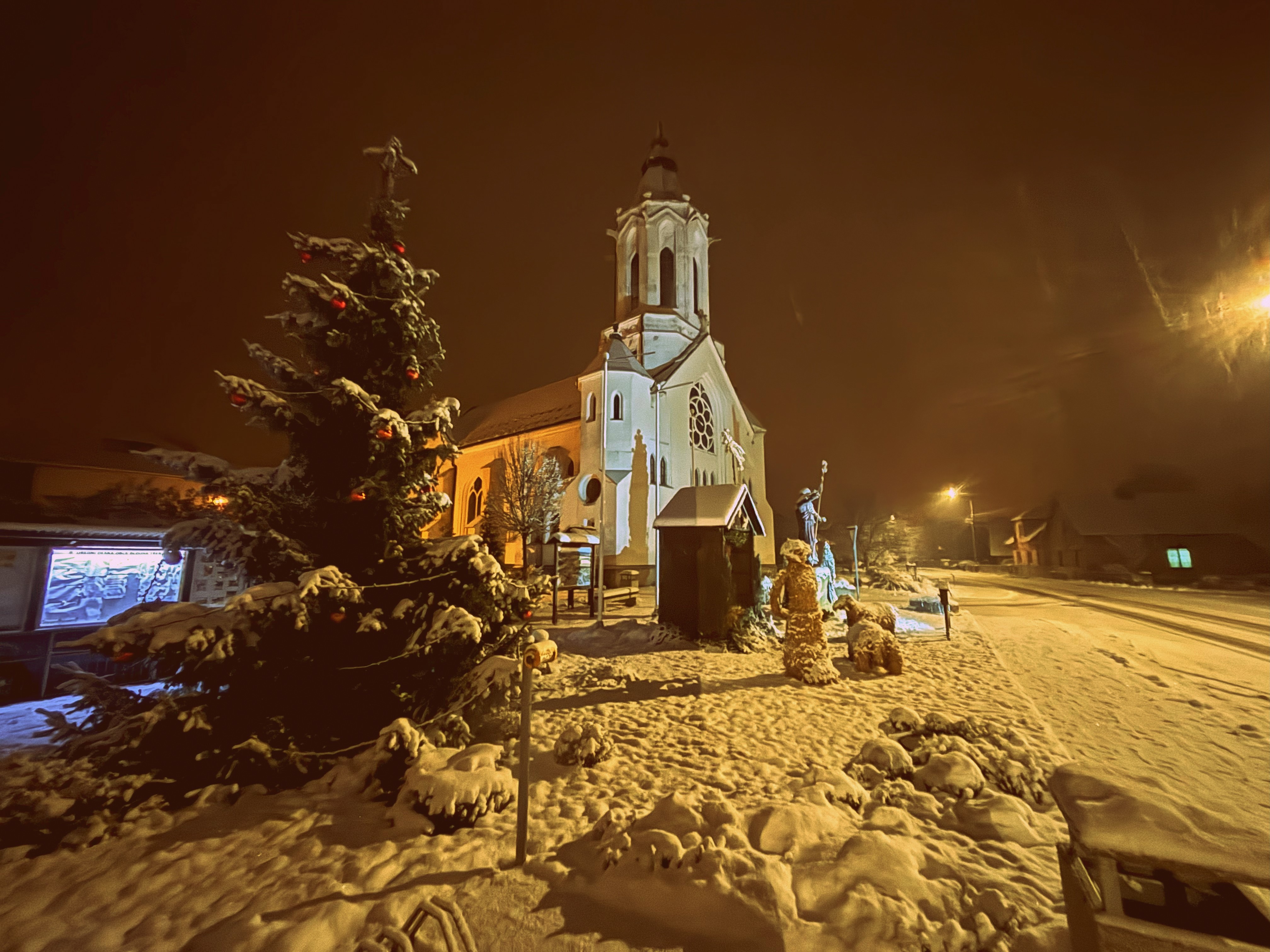 IMG_2920